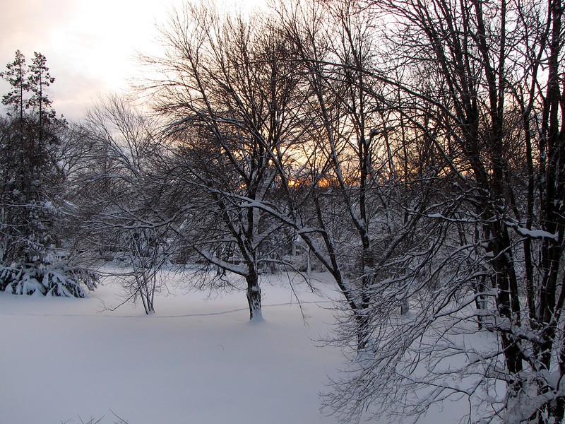 Vacant lot in Aspen Hill, Maryland