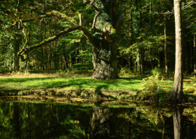 Hidden Oaks Nature Center in Annandale Virginia