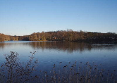 Lake in Greenbelt