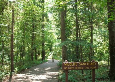 Huntley Meadows Park in Groveton