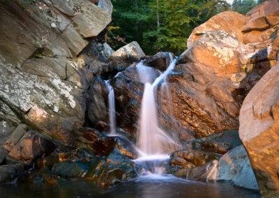 Scotts Run Nature Preserve in Tysons Corner